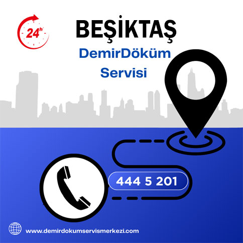 Beşiktaş Demirdöküm Servisi