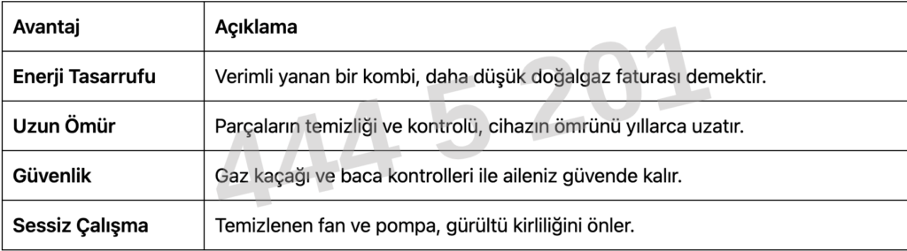 eca kombi servisi