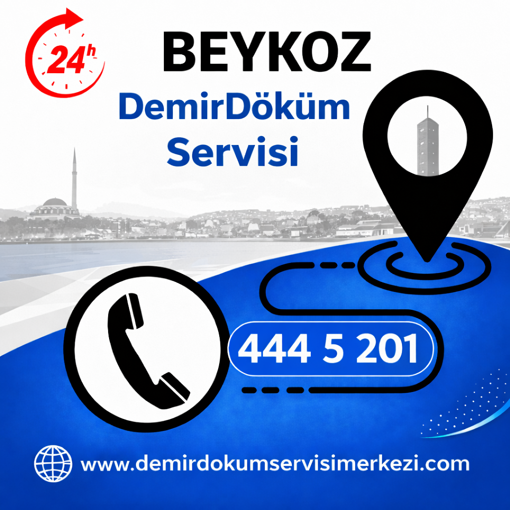 Beykoz Demirdöküm Servisi